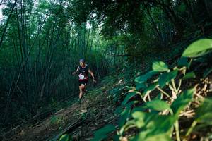 BIB: 
                            <button type="button" onclick="openModal(28124346)" class="btn btn-primary btn-sm float-right btn-popup" data-toggle="modal" data-target=".modal-high-quality">
                        <i class="fas fa-shopping-cart"></i> Add to Cart
                    </button>
                                            <button type="button" onclick="isThisMe(28124346, true)" class="btn btn-success btn-sm float-right btn-popup btn-isme hidden" data-toggle="tooltip" data-placement="bottom" title="นี่คือรูปของคุณใช่ไหม คลิกที่นี่เพื่อเอาเข้าอัลบั้ม">
                        <i class="fas fa-plus"></i> Add to album
                    </button>
                    <button type="button" onclick="isThisMe(28124346, false)" class="btn btn-warning btn-sm float-right btn-popup btn-isnotme hidden">
                        <i class="fas fa-ban"></i> Remove from album
                    </button>